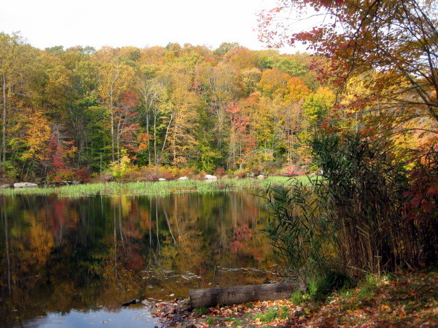 Whitney Pond, Mica Ledges Preserve, Durham